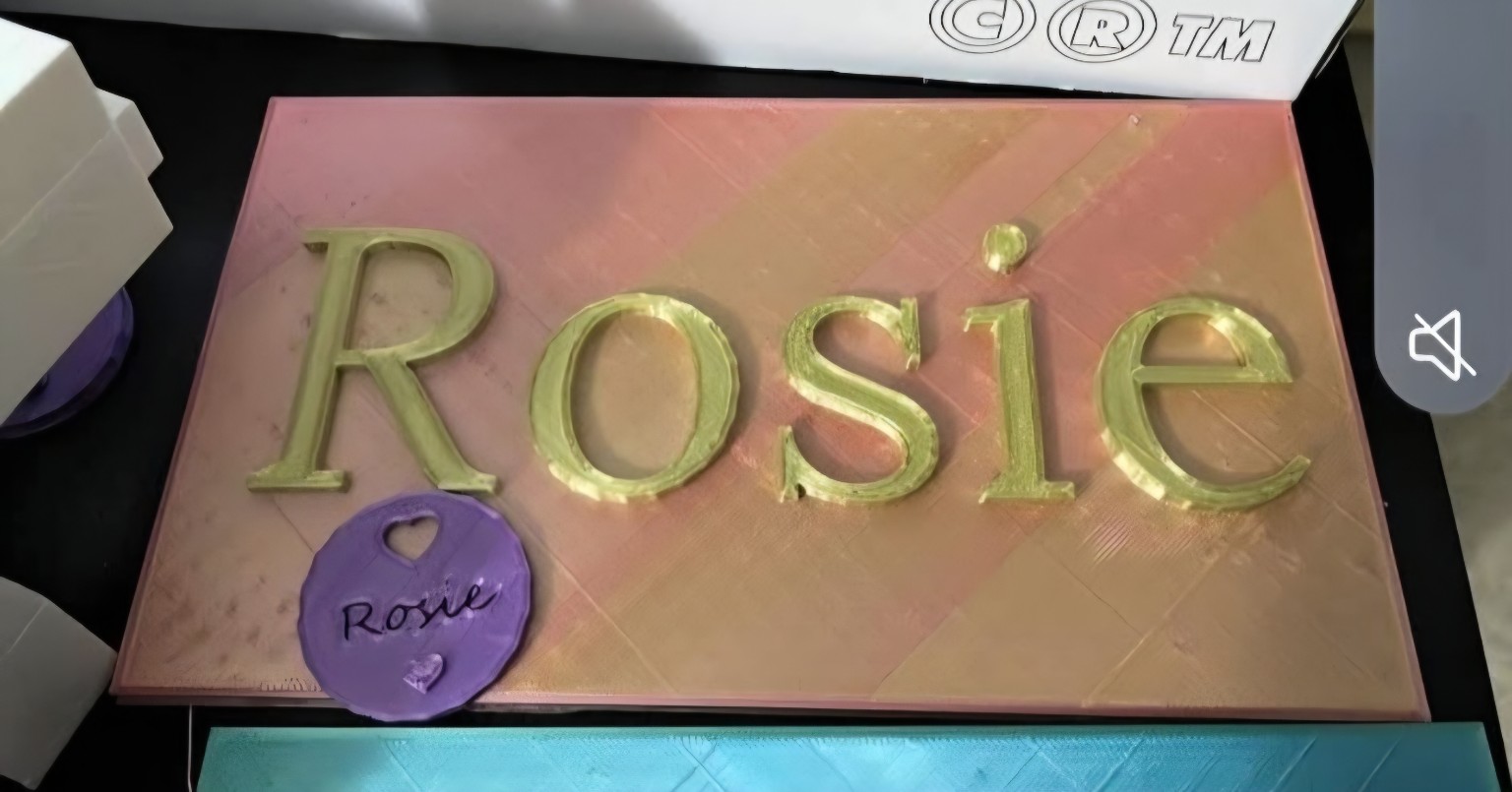 3D printed Rosie name plate